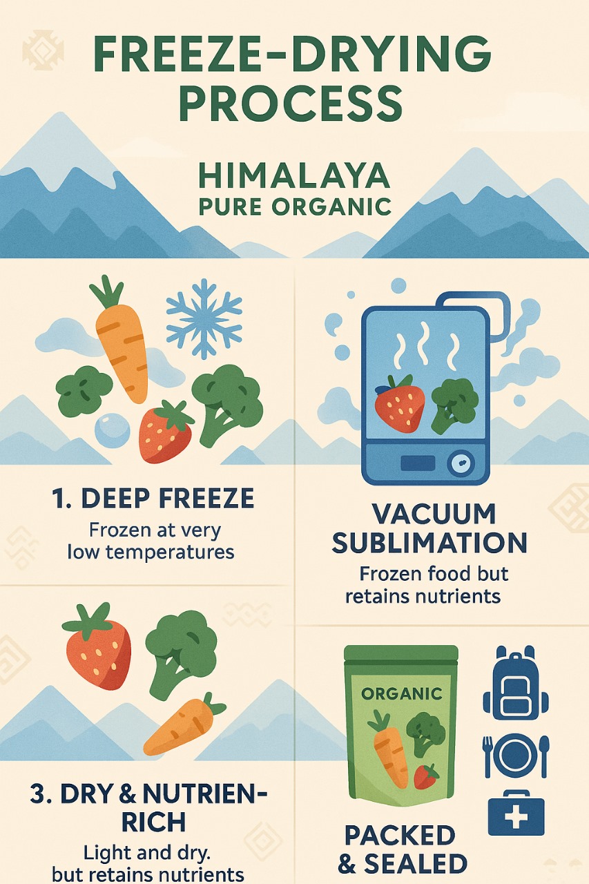 Freeze Drying Process
